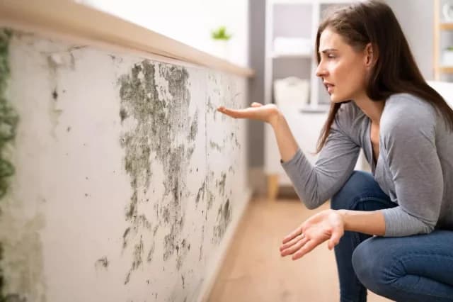 Moho en el baño: Causas y soluciones para la humedad en el hogar
