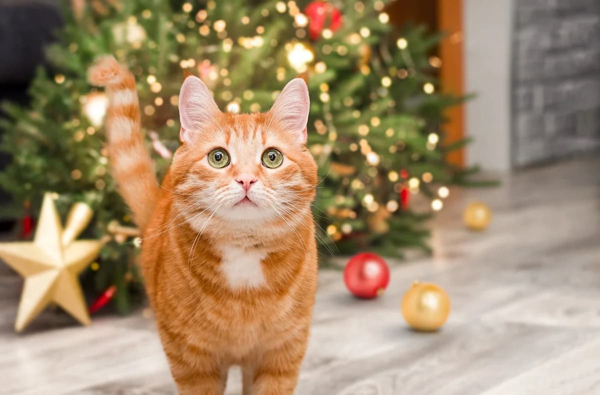 Cómo mantener a tu gato alejado del árbol de Navidad
