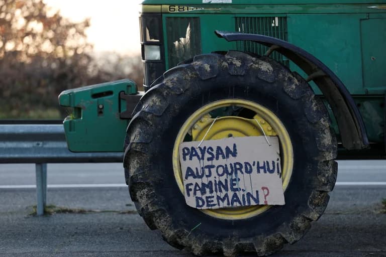 France: Macron calls for 'truce' amid farmer protests