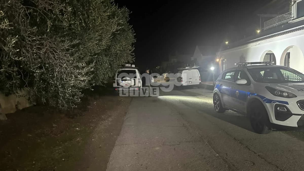 Επίθεση στην οικία του ζωγράφου Γιώργου Γαβριήλ στην Κοκκινοτριμιθιά