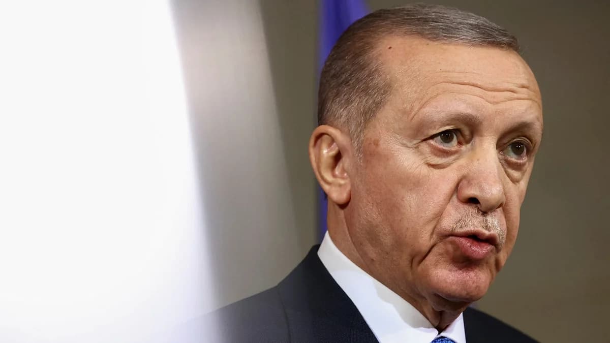 Ερντογάν: «Η Τουρκία δεν εποφθαλμιά εδάφη κανενός»