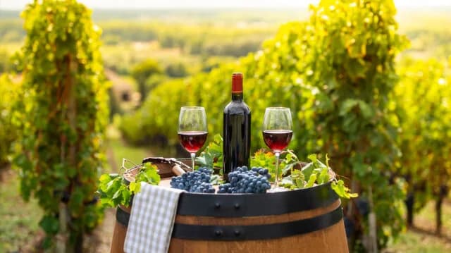 Weinprobe-Zugreise in Frankreich: Champagne, Elsass, Burgund