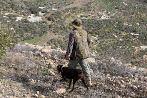 Geldstrafen für illegale Jagd und Fang von Wildvögeln verhängt