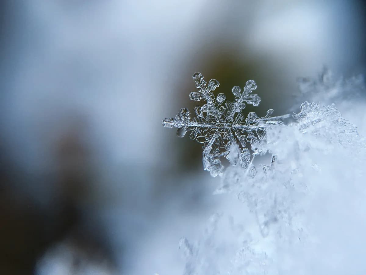 Erste Schneeflocken im Troodosgebirge – Eiskalte Temperaturen