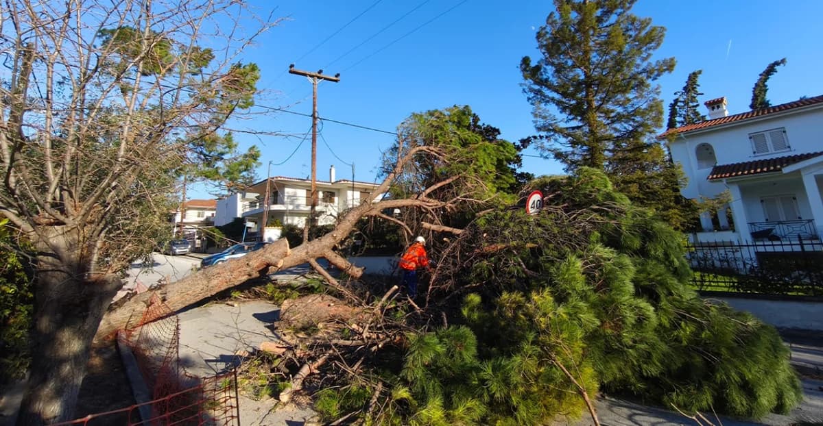 Thessaloniki: Starke Winde verursachen Baum- und Schilderfall