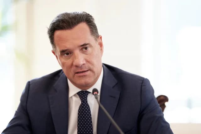 Georgiadis: Befürwortet Überprüfung der Rechtmäßigkeit von Pushbacks