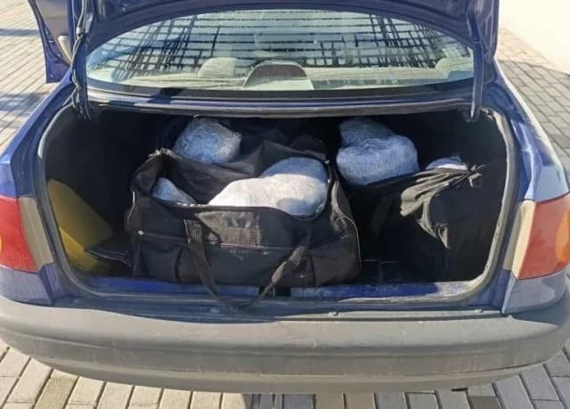 卡斯托里亚：在汽车中发现 28 公斤大麻，三人被捕
