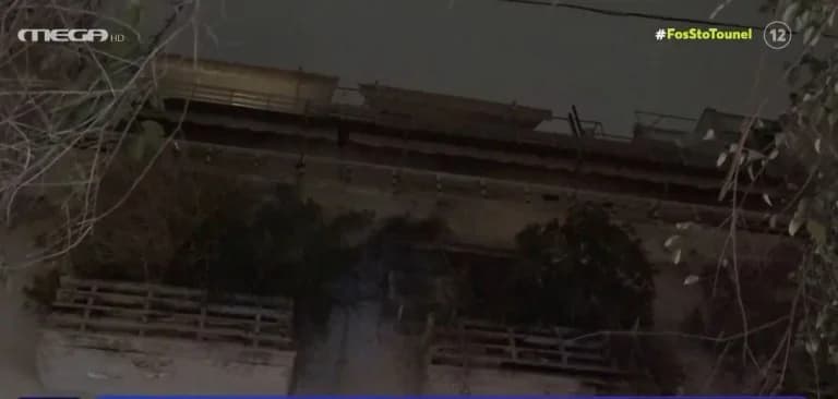 埃莱尼·帕帕多普洛：儿子被捕前对尼科卢利的陈述