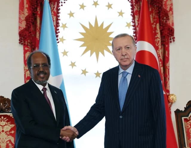 Erdogan: El reconocimiento de Somalilandia por Israel es ilegal