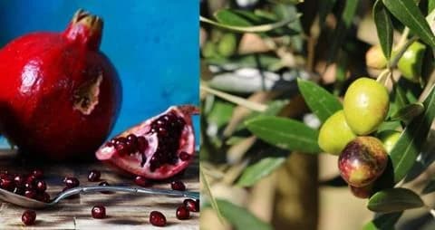 New Year's Traditions in Cyprus: Customs and Symbolism