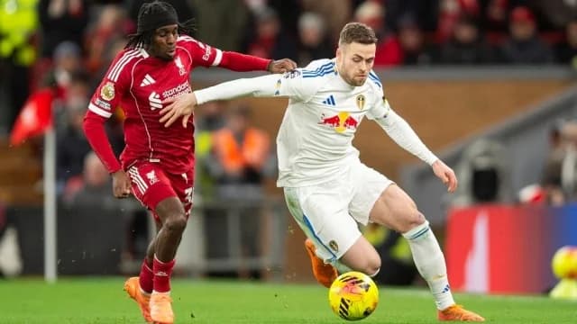 Premier League: Unentschieden für Liverpool, City und Tottenham