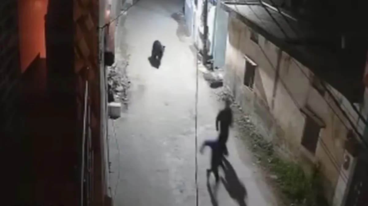 India: Wild bear chases men on remote road