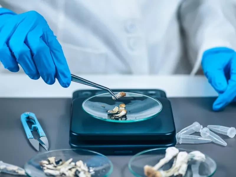 Αγγλία: Έρευνα για «μαγικά» μανιτάρια κατά της κατάθλιψης