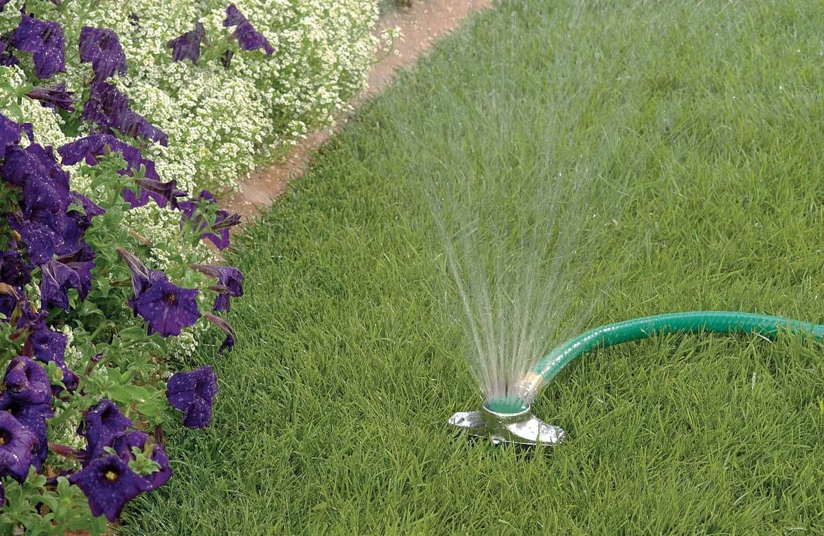 Paphos: Potable Water Used for Irrigation Amid Drought Concerns