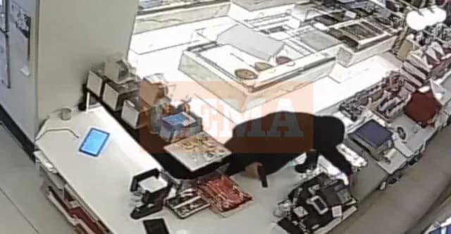 Вооруженное ограбление кондитерской в Никее - Видео