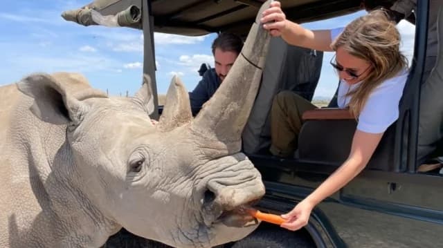 Nina Flohr und Philippos de Grèce: Safari in Afrika