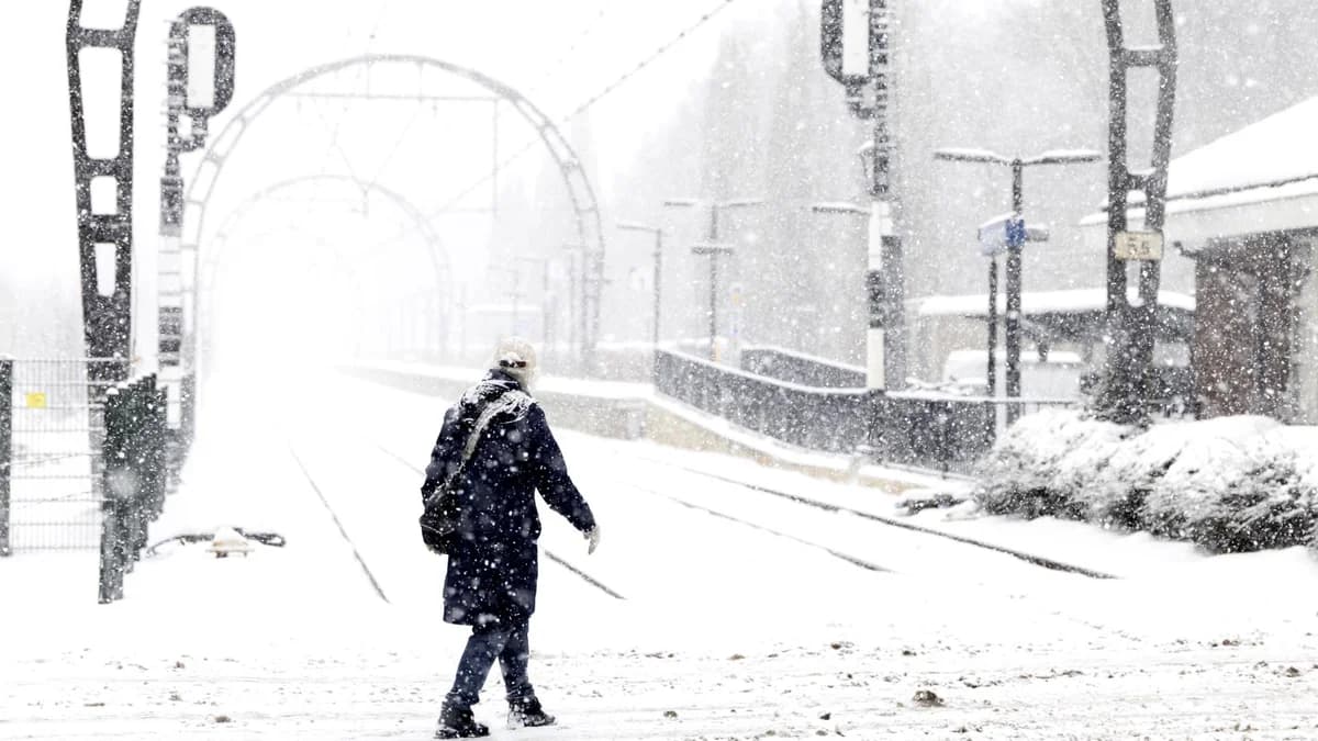 Niederlande: Zugverkehr wegen Schnee eingestellt