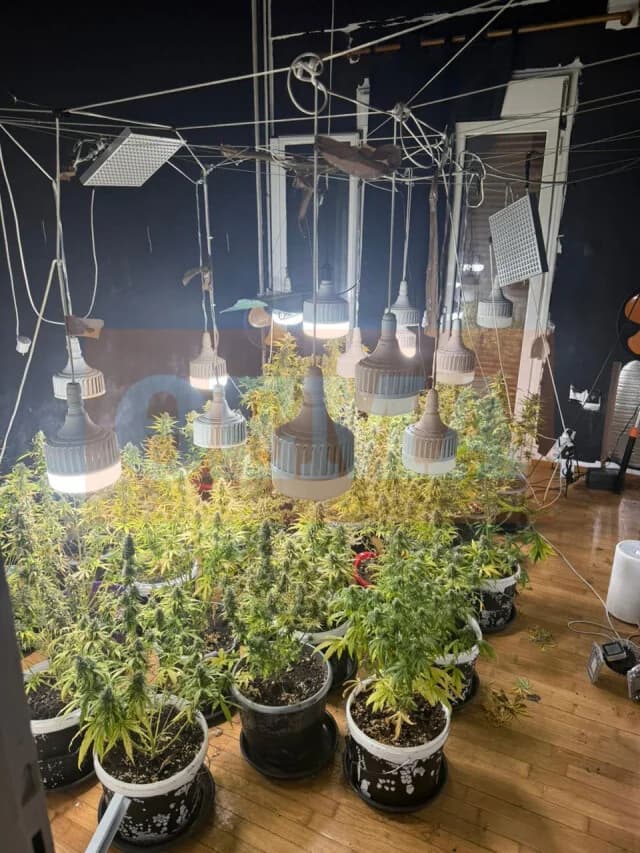 Zwei Ägypter wegen Cannabisanbaus in Kallithea verhaftet