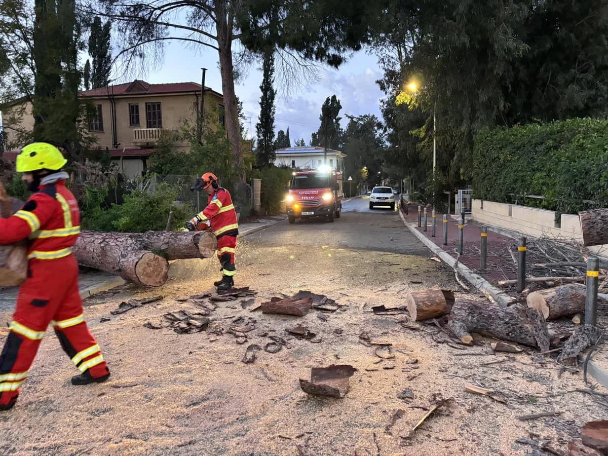 Nicosia: Daños por la caída de árboles y cortes de energía debido a fuertes vientos
