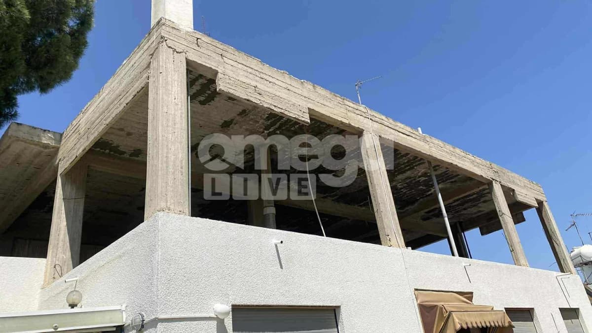 Concerns Raised Over Condition of Nicosia Shelter via SafeCY