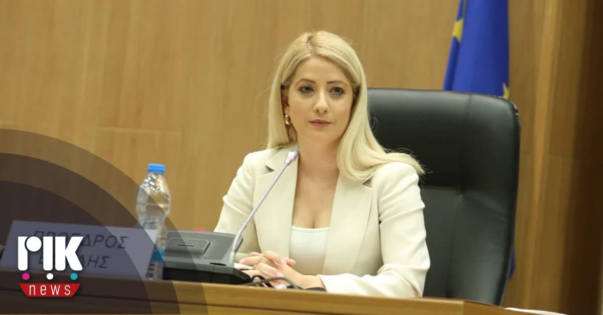 Αννίτα Δημητρίου: Θετικές οι παραιτήσεις για τη διερεύνηση
