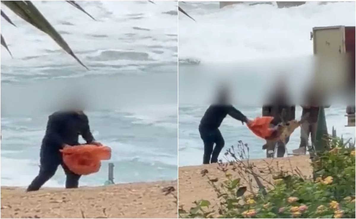 Πειθαρχική έρευνα για βίντεο με νεκρή χελώνα στη Χλώρακα