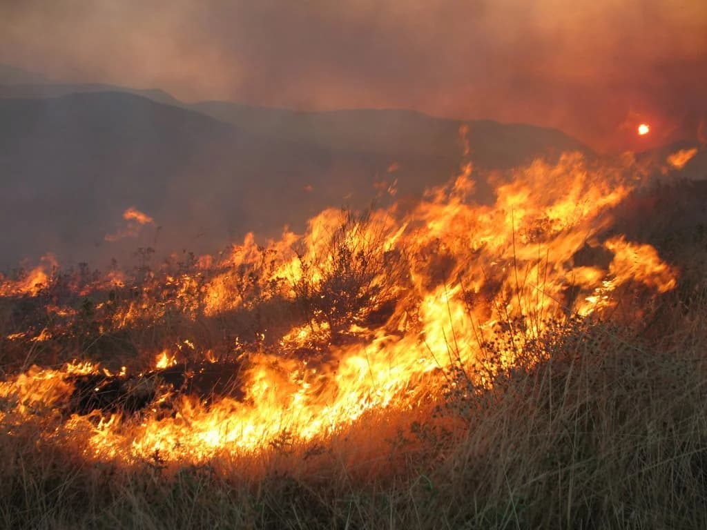 Πυρκαγιά στο Ηράκλειο: Επιχείρηση κατάσβεσης και προειδοποίηση μέσω 112