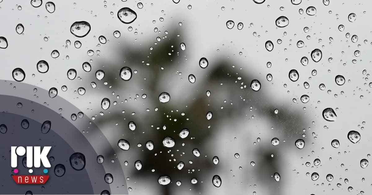 Rain Expected Until the End of January, Predicts the Meteorological Department