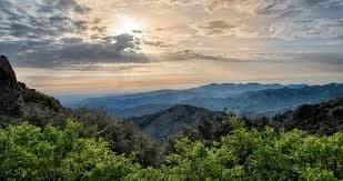 Rare Bat Species Spotted in Troodos