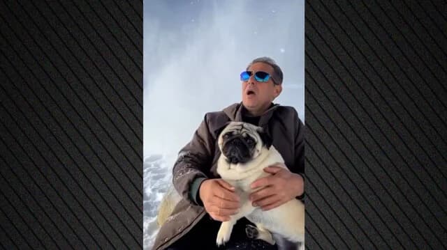 П. Камменос высмеивает европейцев по поводу Гренландии с помощью видео с ИИ