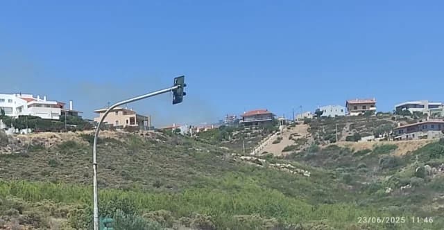 Feuer in Neos Voutzas: Sofortige Mobilisierung der Feuerwehr