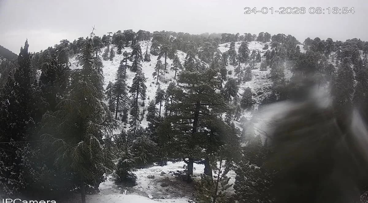 Neuschnee im Troodosgebirge: Atemberaubende Bilder