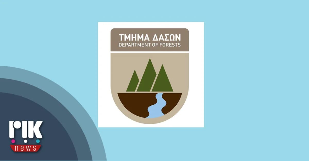 Forest Department Addresses Audit Service Recommendations