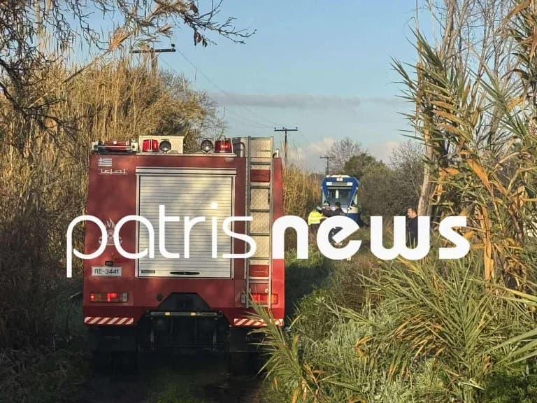 Ilia: Baum fällt auf Zug – Lokführer verletzt