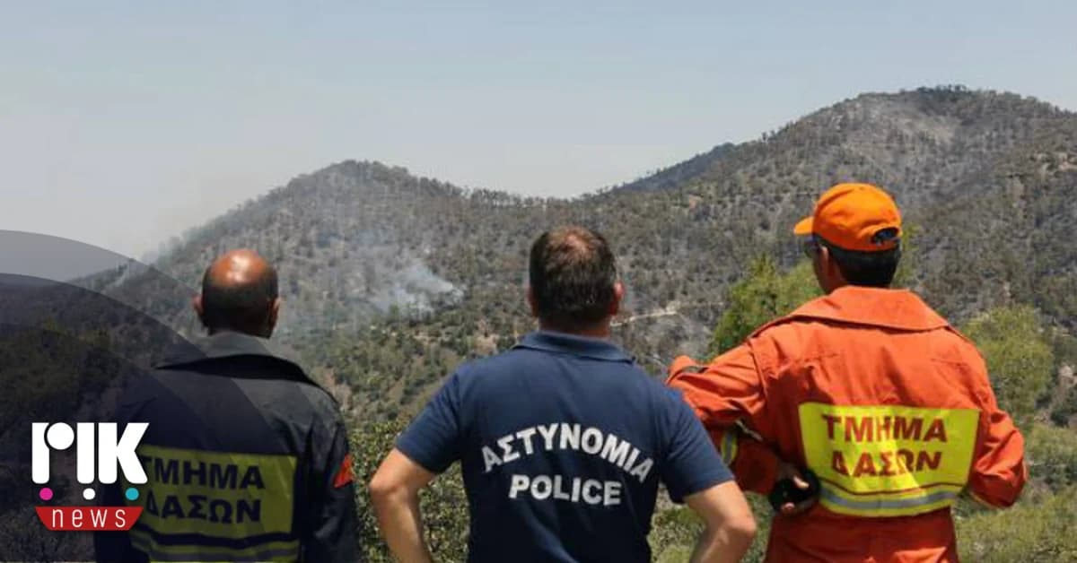 דוח ביקורת על מחלקת היערות: טענות לחוסר שקיפות
