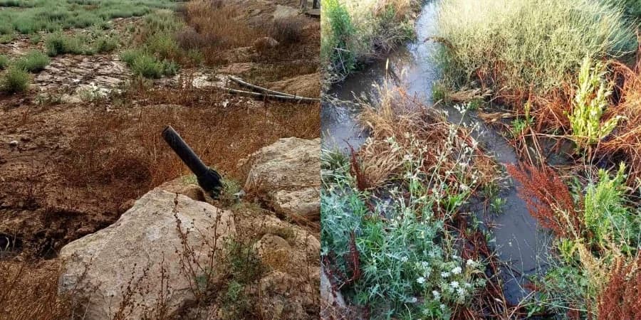 Neuer Bericht über Schweinegülle-Leck im Ovgos-Fluss