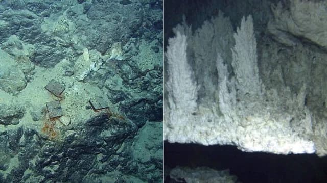 The 'Lost City' Discovered in the Atlantic Ocean Holds Clues to the Origin of Life