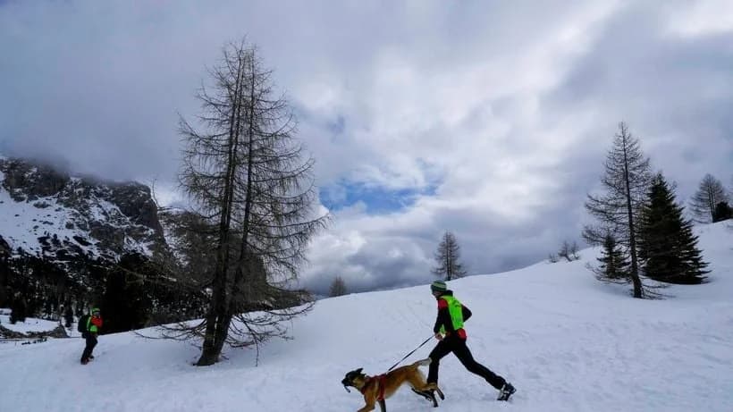 Frankreich: Skifahrer stirbt bei Lawine in den Alpen