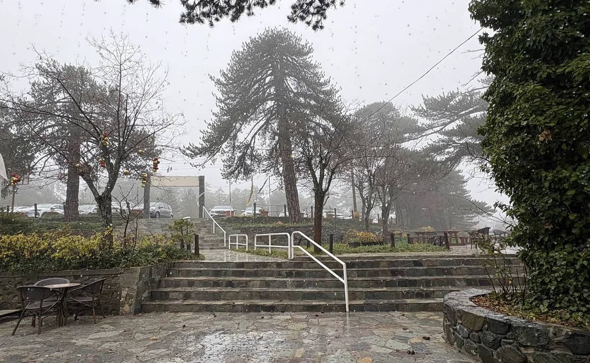 Tráfico denso en Troodos: Acceso controlado al Monte Olimpo