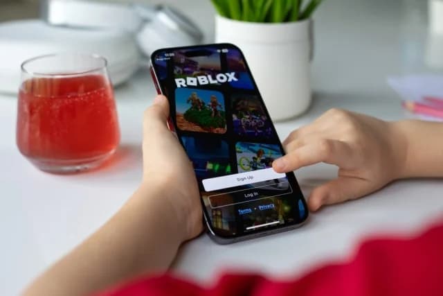 Egypt Bans Access to Roblox Gaming Platform