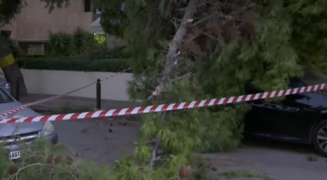 Thessaloniki: Straße nach Baumsturz gesperrt