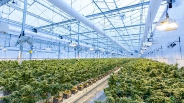 Βόρεια Μακεδονία: Κατάσχεση 30 τόνων κάνναβης