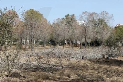 Chipre: Sequía y escasez de agua, principal riesgo económico