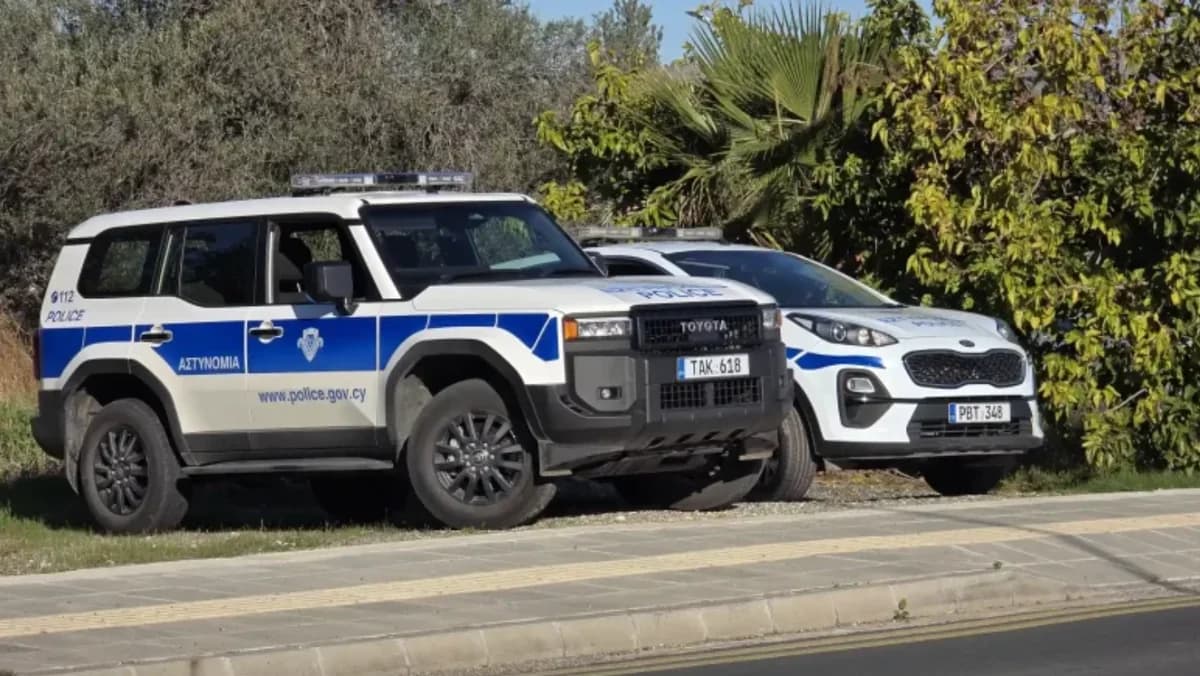 Paphos: Festnahmen wegen illegalen Aufenthalts und Verkehrsverstößen