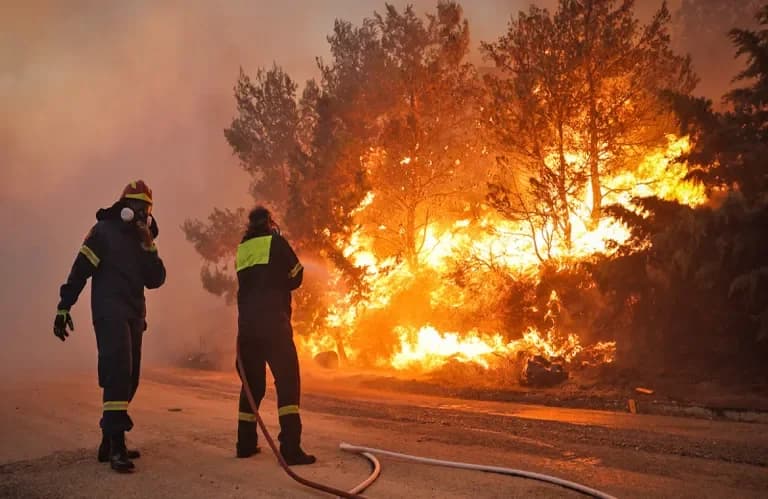 Fire in Pentalia, Galataria and Salamiou: 5 Hectares Destroyed