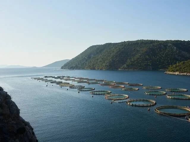Avramar: Aqua Bridge übernimmt Kontrolle