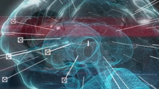 Estenosis de la arteria carótida: Causas, síntomas y tratamiento