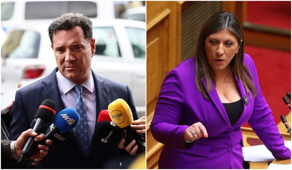 Adonis Georgiadis verklagt Zoe Konstantopoulou wegen Verleumdung