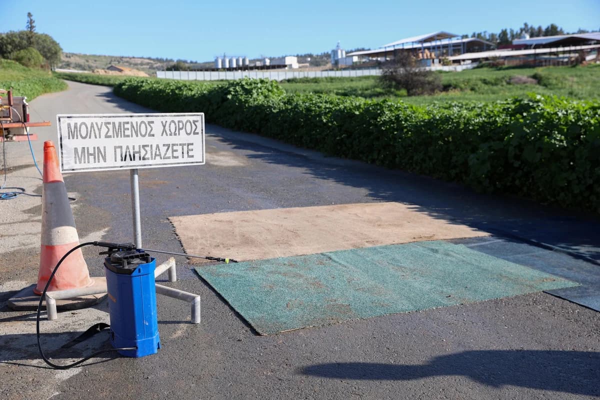Emergency Measures in Athienou for Foot-and-Mouth Disease