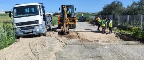 אזהרת מחלת הפה והטלפיים בקפריסין – אמצעים בחוות לגידול בעלי חיים